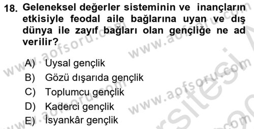 Türkiye´nin Toplumsal Yapısı Dersi 2018 - 2019 Yılı (Final) Dönem Sonu Sınav Soruları 18. Soru