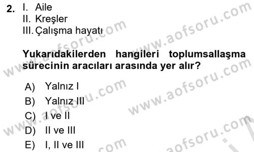 Türkiye´nin Toplumsal Yapısı Dersi 2018 - 2019 Yılı (Final) Dönem Sonu Sınav Soruları 2. Soru
