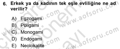 Türkiye´nin Toplumsal Yapısı Dersi 2018 - 2019 Yılı (Final) Dönem Sonu Sınav Soruları 6. Soru