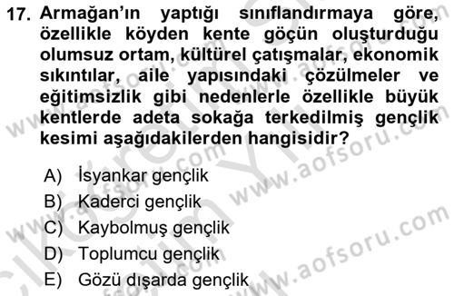 Türkiye´nin Toplumsal Yapısı Dersi 2020 - 2021 Yılı Yaz Okulu Sınav Soruları 17. Soru