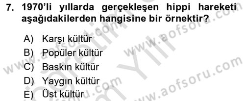 Türkiye´nin Toplumsal Yapısı Dersi 2020 - 2021 Yılı Yaz Okulu Sınav Soruları 7. Soru