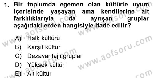 Türkiye´nin Toplumsal Yapısı Dersi 2021 - 2022 Yılı Yaz Okulu Sınav Soruları 1. Soru
