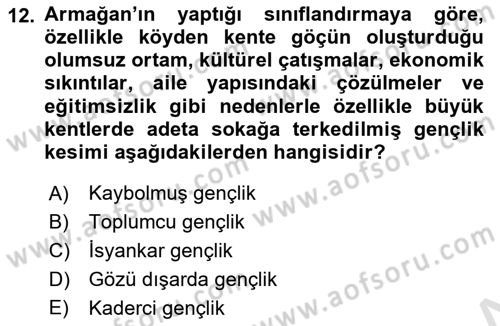 Türkiye´nin Toplumsal Yapısı Dersi 2021 - 2022 Yılı Yaz Okulu Sınav Soruları 12. Soru