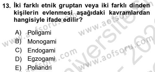 Türkiye´nin Toplumsal Yapısı Dersi 2021 - 2022 Yılı Yaz Okulu Sınav Soruları 13. Soru