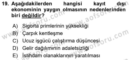 Türkiye´nin Toplumsal Yapısı Dersi 2021 - 2022 Yılı Yaz Okulu Sınav Soruları 19. Soru