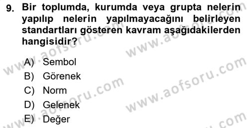 Türkiye´nin Toplumsal Yapısı Dersi 2021 - 2022 Yılı Yaz Okulu Sınav Soruları 9. Soru