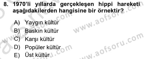 Türkiye´nin Toplumsal Yapısı Dersi 2022 - 2023 Yılı (Vize) Ara Sınav Soruları 8. Soru
