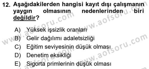 Türkiye´nin Toplumsal Yapısı Dersi 2022 - 2023 Yılı (Final) Dönem Sonu Sınav Soruları 12. Soru