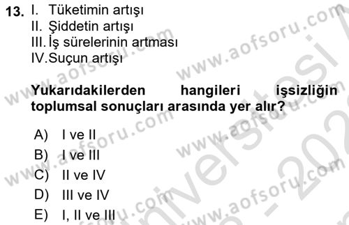 Türkiye´nin Toplumsal Yapısı Dersi 2022 - 2023 Yılı (Final) Dönem Sonu Sınav Soruları 13. Soru