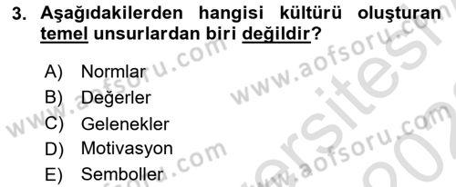 Türkiye´nin Toplumsal Yapısı Dersi 2022 - 2023 Yılı (Final) Dönem Sonu Sınav Soruları 3. Soru