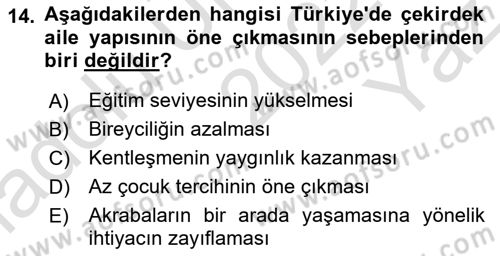 Türkiye´nin Toplumsal Yapısı Dersi 2022 - 2023 Yılı Yaz Okulu Sınav Soruları 14. Soru