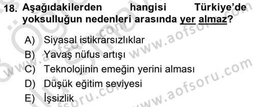 Türkiye´nin Toplumsal Yapısı Dersi 2022 - 2023 Yılı Yaz Okulu Sınav Soruları 18. Soru