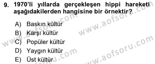 Türkiye´nin Toplumsal Yapısı Dersi 2023 - 2024 Yılı (Vize) Ara Sınav Soruları 9. Soru