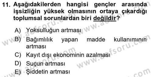 Türkiye´nin Toplumsal Yapısı Dersi 2023 - 2024 Yılı (Final) Dönem Sonu Sınav Soruları 11. Soru