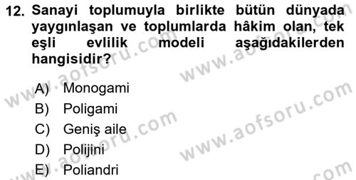 Türkiye´nin Toplumsal Yapısı Dersi 2023 - 2024 Yılı (Final) Dönem Sonu Sınav Soruları 12. Soru