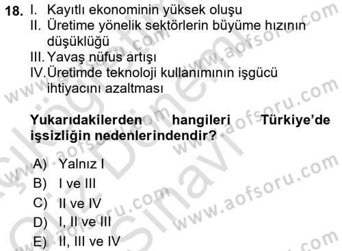 Türkiye´nin Toplumsal Yapısı Dersi 2023 - 2024 Yılı (Final) Dönem Sonu Sınav Soruları 18. Soru