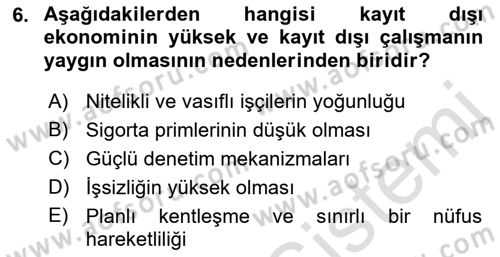 Türkiye´nin Toplumsal Yapısı Dersi 2023 - 2024 Yılı (Final) Dönem Sonu Sınav Soruları 6. Soru