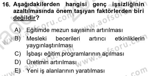 Türkiye´nin Toplumsal Yapısı Dersi 2023 - 2024 Yılı Yaz Okulu Sınav Soruları 16. Soru