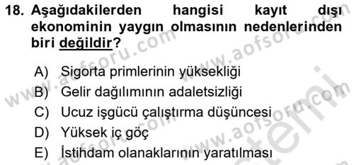 Türkiye´nin Toplumsal Yapısı Dersi 2023 - 2024 Yılı Yaz Okulu Sınav Soruları 18. Soru