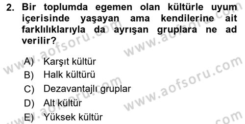 Türkiye´nin Toplumsal Yapısı Dersi 2023 - 2024 Yılı Yaz Okulu Sınav Soruları 2. Soru