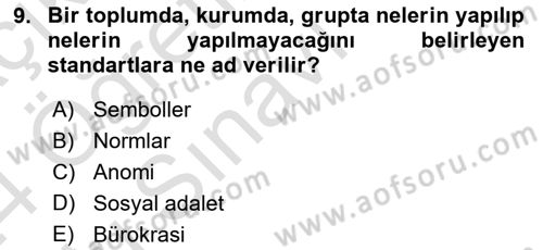 Türkiye´nin Toplumsal Yapısı Dersi 2023 - 2024 Yılı Yaz Okulu Sınav Soruları 9. Soru