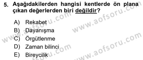 Türkiye´nin Toplumsal Yapısı Dersi Ara Sınavı Deneme Sınav Soruları 5. Soru