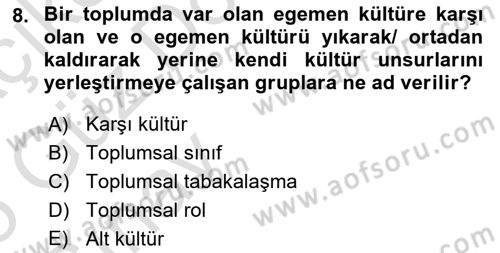 Türkiye´nin Toplumsal Yapısı Dersi Ara Sınavı Deneme Sınav Soruları 8. Soru