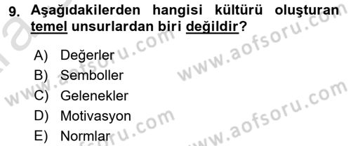 Türkiye´nin Toplumsal Yapısı Dersi Ara Sınavı Deneme Sınav Soruları 9. Soru