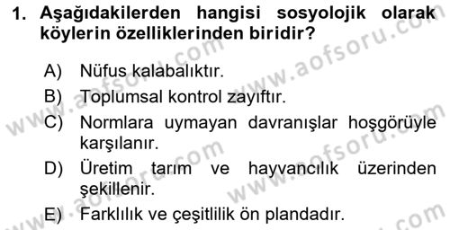 Türkiye´nin Toplumsal Yapısı Dersi 2024 - 2025 Yılı (Final) Dönem Sonu Sınav Soruları 1. Soru