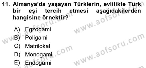 Türkiye´nin Toplumsal Yapısı Dersi 2024 - 2025 Yılı (Final) Dönem Sonu Sınav Soruları 11. Soru