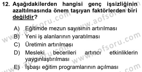 Türkiye´nin Toplumsal Yapısı Dersi 2024 - 2025 Yılı (Final) Dönem Sonu Sınav Soruları 12. Soru