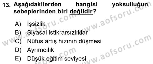 Türkiye´nin Toplumsal Yapısı Dersi 2024 - 2025 Yılı (Final) Dönem Sonu Sınav Soruları 13. Soru
