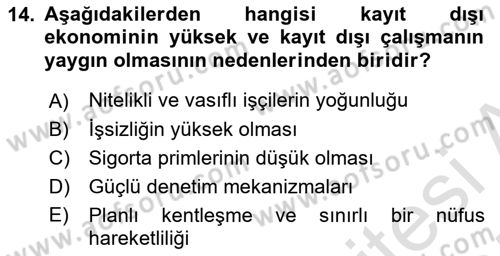 Türkiye´nin Toplumsal Yapısı Dersi 2024 - 2025 Yılı (Final) Dönem Sonu Sınav Soruları 14. Soru