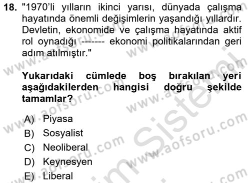 Türkiye´nin Toplumsal Yapısı Dersi 2024 - 2025 Yılı (Final) Dönem Sonu Sınav Soruları 18. Soru