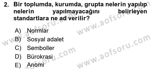Türkiye´nin Toplumsal Yapısı Dersi 2024 - 2025 Yılı (Final) Dönem Sonu Sınav Soruları 2. Soru
