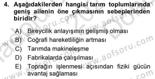 Türkiye´nin Toplumsal Yapısı Dersi 2024 - 2025 Yılı (Final) Dönem Sonu Sınav Soruları 4. Soru