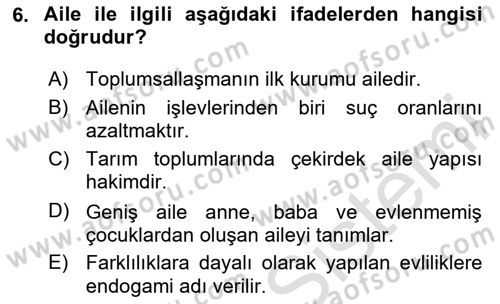 Türkiye´nin Toplumsal Yapısı Dersi 2024 - 2025 Yılı (Final) Dönem Sonu Sınav Soruları 6. Soru