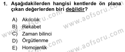 Türkiye´nin Toplumsal Yapısı Dersi 2024 - 2025 Yılı Yaz Okulu Sınav Soruları 1. Soru