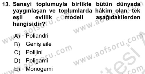 Türkiye´nin Toplumsal Yapısı Dersi 2024 - 2025 Yılı Yaz Okulu Sınav Soruları 13. Soru