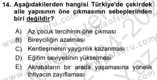 Türkiye´nin Toplumsal Yapısı Dersi 2024 - 2025 Yılı Yaz Okulu Sınav Soruları 14. Soru
