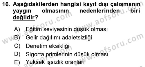 Türkiye´nin Toplumsal Yapısı Dersi 2024 - 2025 Yılı Yaz Okulu Sınav Soruları 16. Soru