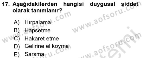 Türkiye´nin Toplumsal Yapısı Dersi 2024 - 2025 Yılı Yaz Okulu Sınav Soruları 17. Soru