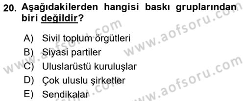 Türkiye´nin Toplumsal Yapısı Dersi 2024 - 2025 Yılı Yaz Okulu Sınav Soruları 20. Soru