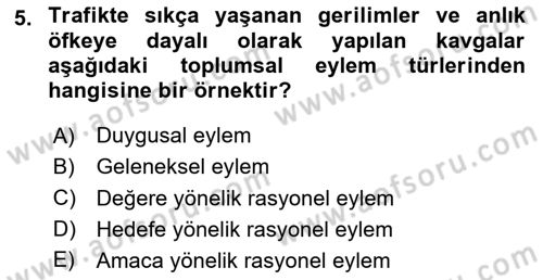 Türkiye´nin Toplumsal Yapısı Dersi 2024 - 2025 Yılı Yaz Okulu Sınav Soruları 5. Soru