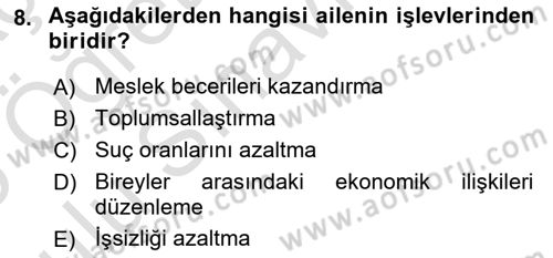 Türkiye´nin Toplumsal Yapısı Dersi 2024 - 2025 Yılı Yaz Okulu Sınav Soruları 8. Soru