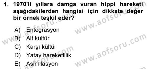 Türkiye´nin Toplumsal Yapısı Dersi 2025 - 2026 Yılı (Final) Dönem Sonu Sınav Soruları 1. Soru