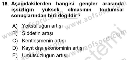 Türkiye´nin Toplumsal Yapısı Dersi 2025 - 2026 Yılı (Final) Dönem Sonu Sınav Soruları 16. Soru
