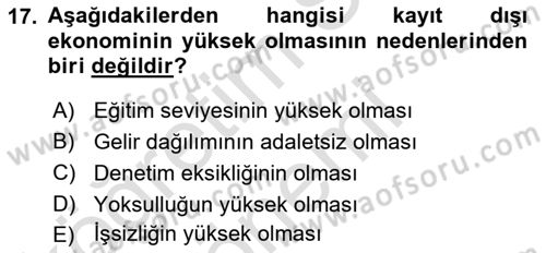 Türkiye´nin Toplumsal Yapısı Dersi 2025 - 2026 Yılı (Final) Dönem Sonu Sınav Soruları 17. Soru