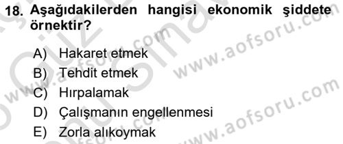 Türkiye´nin Toplumsal Yapısı Dersi 2025 - 2026 Yılı (Final) Dönem Sonu Sınav Soruları 18. Soru