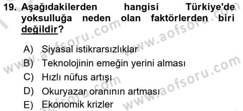 Türkiye´nin Toplumsal Yapısı Dersi 2025 - 2026 Yılı (Final) Dönem Sonu Sınav Soruları 19. Soru